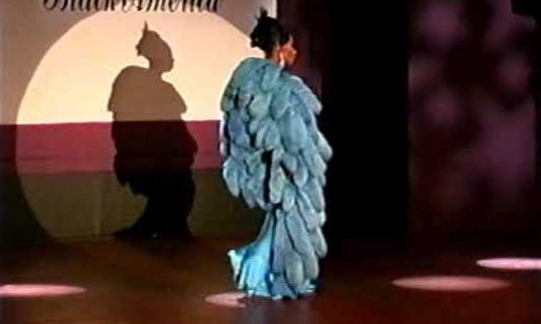 Tandi Iman Dupree in evening gown competition for Miss Gay Black America 2005 Tandi Iman Dupree in evening gown competition for Miss Gay Black America 2005