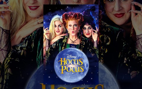 Hocus Pocus Hocus Pocus