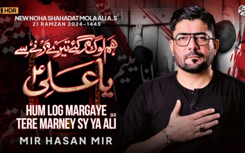 Hum Log Margaye | Mir Hasan Mir New Nohay 2024 | 21 Ramzan Noha 2024 | Mola Ali Noha 2024 Hum Log Margaye | Mir Hasan Mir New Nohay 2024 | 21 Ramzan Noha 2024 | Mola Ali Noha 2024