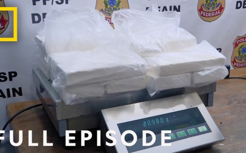 Biggest Cocaine Busts: The Best of To Catch a Smuggler (Full Episode Compilation) Biggest Cocaine Busts: The Best of To Catch a Smuggler (Full Episode Compilation)