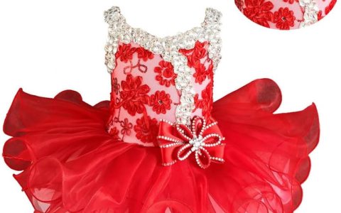Jenniferwu Pageant Dress Handmade Beaded Dresses Toddler Pageant Princess Dress Jenniferwu Pageant Dress Handmade Beaded Dresses Toddler Pageant Princess Dress