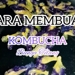 Cara Memasak Bunga Telang Panduan Lengkap Cara Memasak Bunga Telang Panduan Lengkap