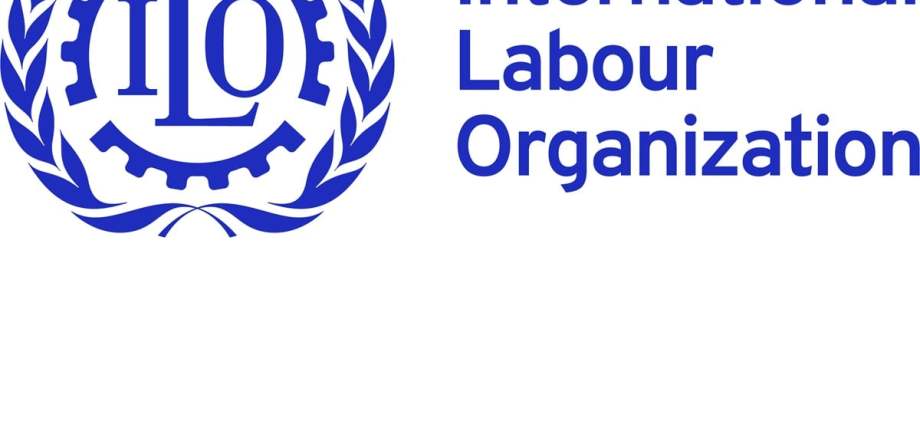 FG, ILO expand SEESIN capacity building – Tribune Online FG, ILO expand SEESIN capacity building – Tribune Online