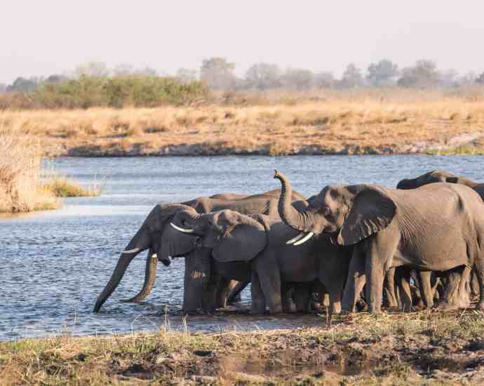 Photo credit: www.arebbusch.com Bwabwata National Park: Namibia’s Hidden Gem for Wildlife and Cultural Safaris