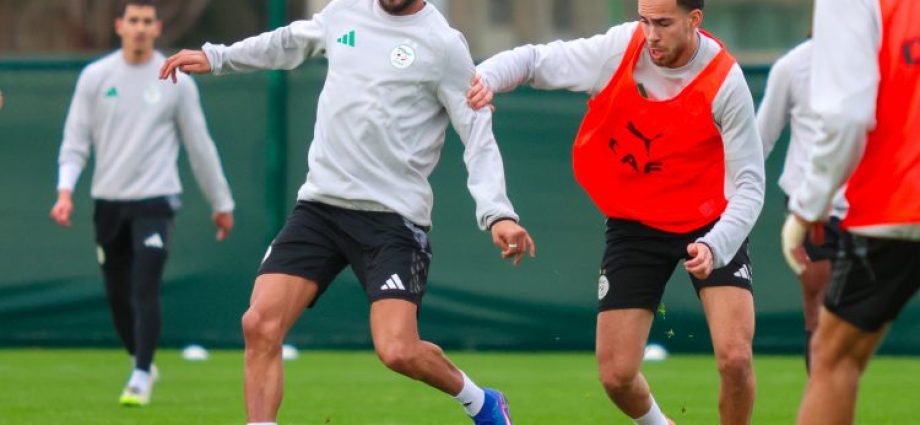 AFCON 2025: Algeria’s Greens Resume Training with Focus and Injury Concerns Ahead of Crucial DR Congo Clash AFCON 2025: Algeria’s Greens Resume Training with Focus and Injury Concerns Ahead of Crucial DR Congo Clash