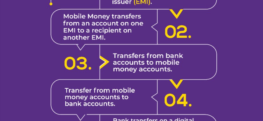 Photo credit: africaneyereport.com FACTS CHECKED ON: E-Levy Finally Scrapped in Ghana – President Mahama Signs Repeal Bill