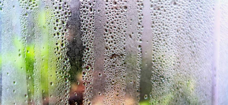 Mpumalanga Weather Alert: Persistent Heat, Humidity, and Escalating Thunderstorm Risk Mpumalanga Weather Alert: Persistent Heat, Humidity, and Escalating Thunderstorm Risk