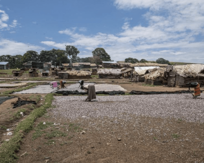 Africa Must Lead the Fight Against Malaria with Innovation and Investment Africa Must Lead the Fight Against Malaria with Innovation and Investment