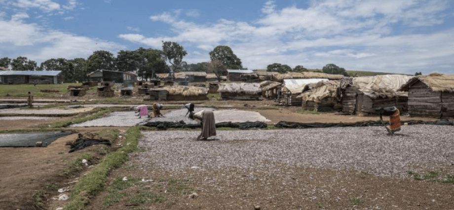 Africa Must Lead the Fight Against Malaria with Innovation and Investment Africa Must Lead the Fight Against Malaria with Innovation and Investment