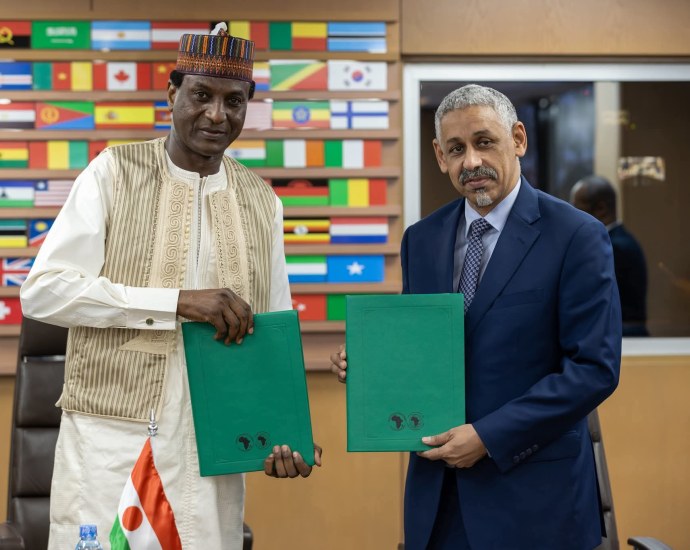 African Development Bank Grants Niger 4.7 Million for Energy and Private Sector African Development Bank Grants Niger 4.7 Million for Energy and Private Sector