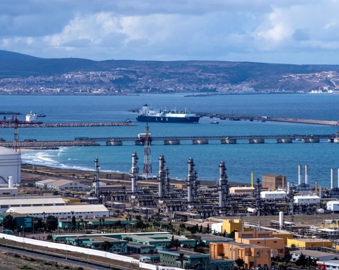Beyond the Barrel: How Pertamina’s Algerian Milestone Reshapes Indonesia’s Energy Security and Global Strategy Beyond the Barrel: How Pertamina’s Algerian Milestone Reshapes Indonesia’s Energy Security and Global Strategy