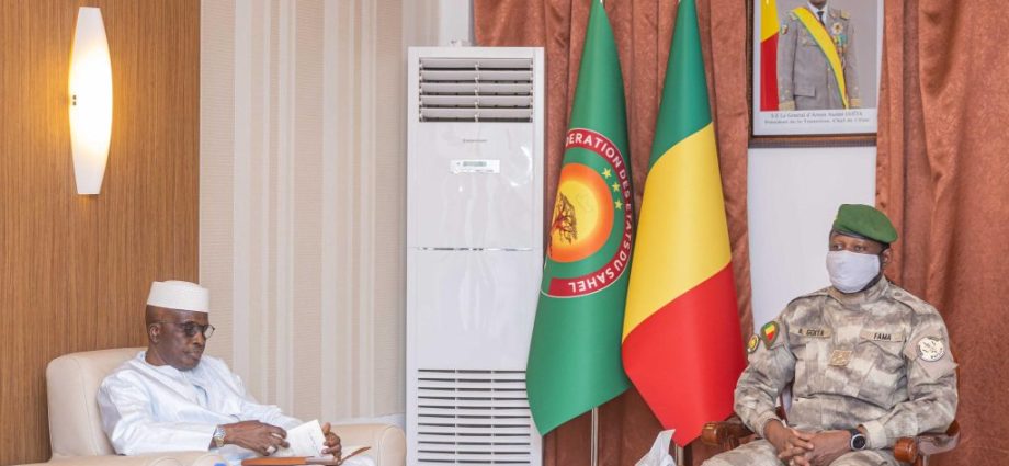 DIPLOMATIE : Entrée en fonction du nouvel Ambassadeur du Mali au Caire DIPLOMATIE : Entrée en fonction du nouvel Ambassadeur du Mali au Caire