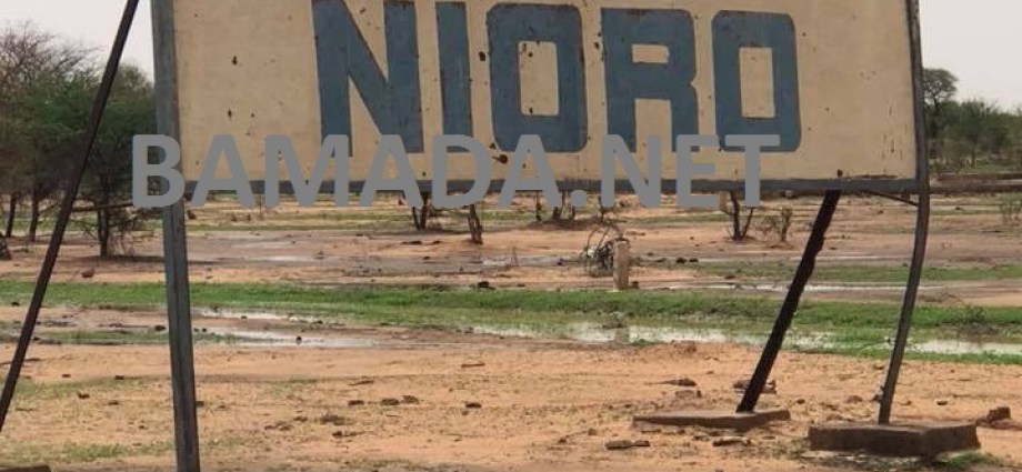 Mali Launches Ambitious Campaign to Protect Small Livestock from PPR Threat Mali Launches Ambitious Campaign to Protect Small Livestock from PPR Threat