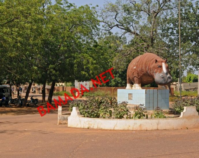 L’électricité est de retour à Diakhaba L’électricité est de retour à Diakhaba