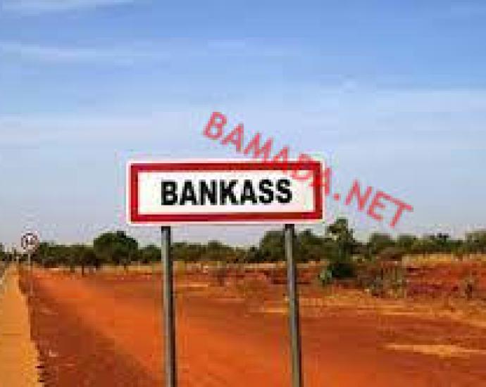 Bankass Sees Decline in Reported Sexual Violence, But Child Abuse Remains a Critical Concern Bankass Sees Decline in Reported Sexual Violence, But Child Abuse Remains a Critical Concern