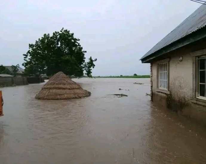 Photo credit: dailytrust.com Federal Government Issues Fresh Flood Alert as Taraba Communities Are Submerged