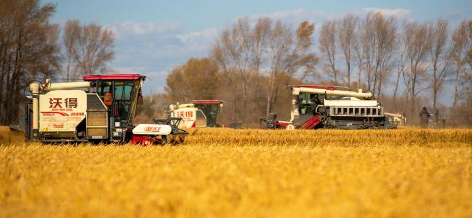 Promoting high-quality rural development adapted to local realities in China – Tunisia News Gazette Promoting high-quality rural development adapted to local realities in China – Tunisia News Gazette