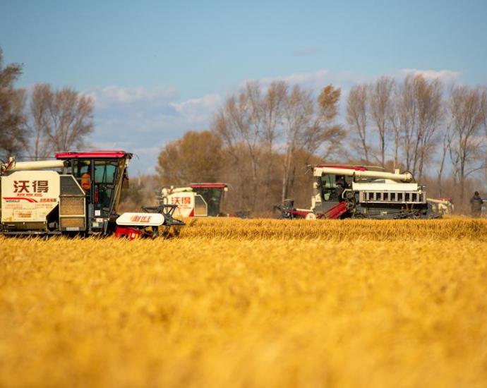 Promoting high-quality rural development adapted to local realities in China – Tunisia News Gazette Promoting high-quality rural development adapted to local realities in China – Tunisia News Gazette