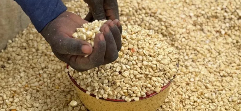 Trump’s Aid Cuts Risk Driving Nigerians Toward Boko Haram Recruitment Trump’s Aid Cuts Risk Driving Nigerians Toward Boko Haram Recruitment