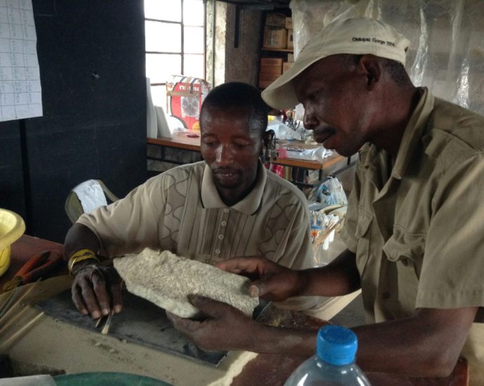 Tanzania: 1.5 Million-Year-Old Bone Tools Discovered in Tanzania Rewrite the History of Human Evolution Tanzania: 1.5 Million-Year-Old Bone Tools Discovered in Tanzania Rewrite the History of Human Evolution
