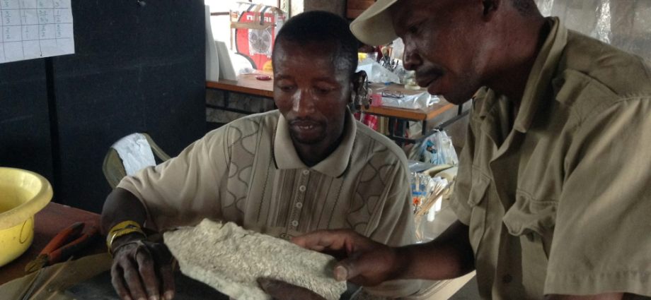 Tanzania: 1.5 Million-Year-Old Bone Tools Discovered in Tanzania Rewrite the History of Human Evolution Tanzania: 1.5 Million-Year-Old Bone Tools Discovered in Tanzania Rewrite the History of Human Evolution