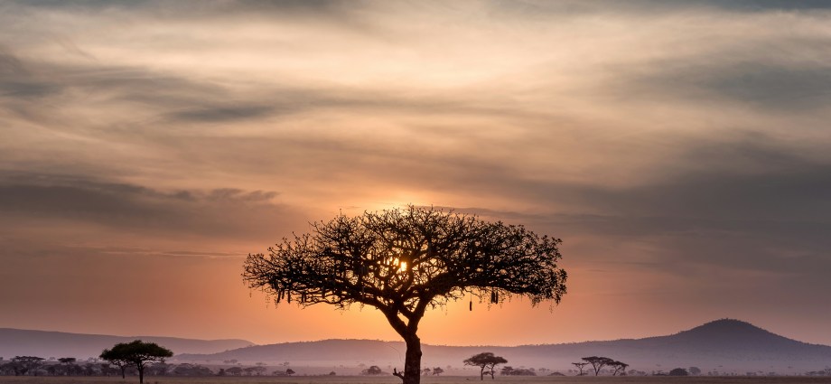 Tanzania Launches Special Salt Production License to Stimulate Industry Expansion Tanzania Launches Special Salt Production License to Stimulate Industry Expansion