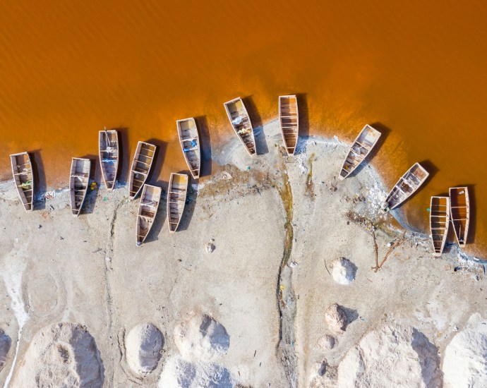 Golden Sheep and Rare Parrots: A Deep Dive into Dakar’s FIARA 2025 Golden Sheep and Rare Parrots: A Deep Dive into Dakar’s FIARA 2025