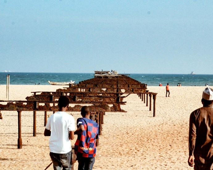 Togo Unveils New Forestry Reforms to Boost Sustainability and Business Climate Togo Unveils New Forestry Reforms to Boost Sustainability and Business Climate