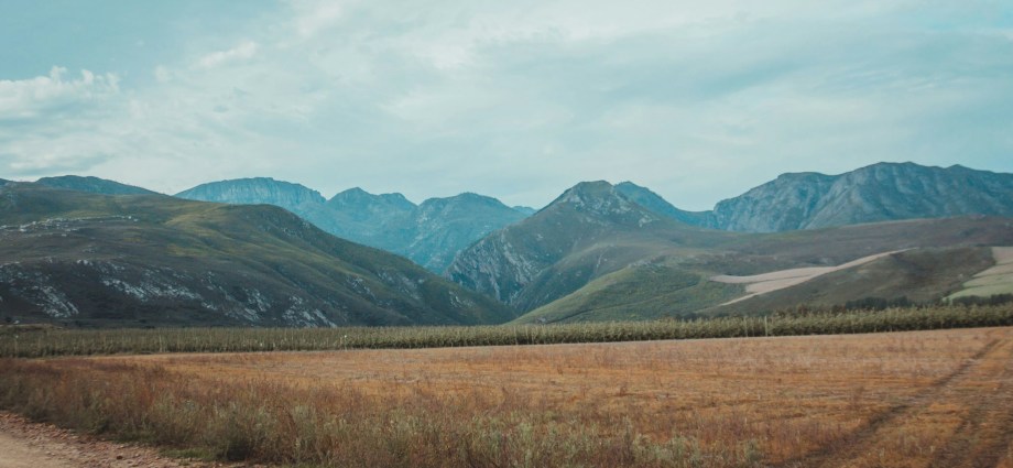 South Africa’s Water Crisis: Why Grasslands Restoration Matters as Much as Dam Construction South Africa’s Water Crisis: Why Grasslands Restoration Matters as Much as Dam Construction