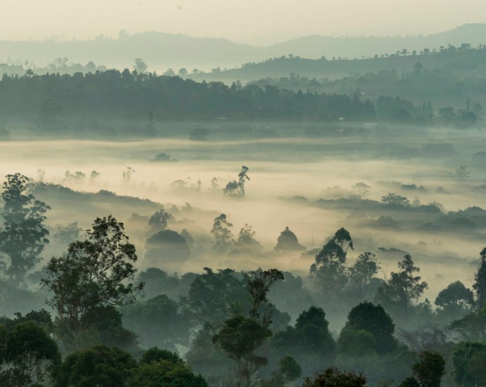 Togo’s President Faure Gnassingbé Secures Lifetime Rule Through Constitutional Change Togo’s President Faure Gnassingbé Secures Lifetime Rule Through Constitutional Change