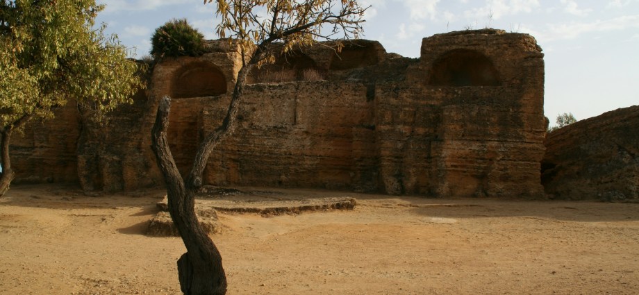 Gambian Activists Arrested for Protesting Secrecy in Sale of Ex-President Jammeh’s Assets Gambian Activists Arrested for Protesting Secrecy in Sale of Ex-President Jammeh’s Assets
