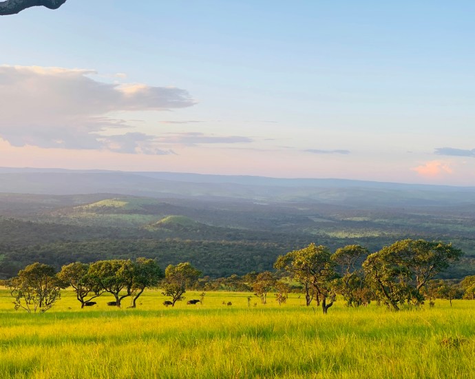 NNPCL Announces Resumption of Kolmani Oil Drilling in Northeast Nigeria NNPCL Announces Resumption of Kolmani Oil Drilling in Northeast Nigeria