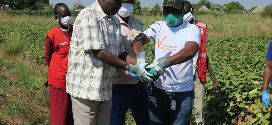 Photo credit: peacekeeping.un.org UN Volunteers in Northern Bahr El Ghazal plant trees to combat climate ...