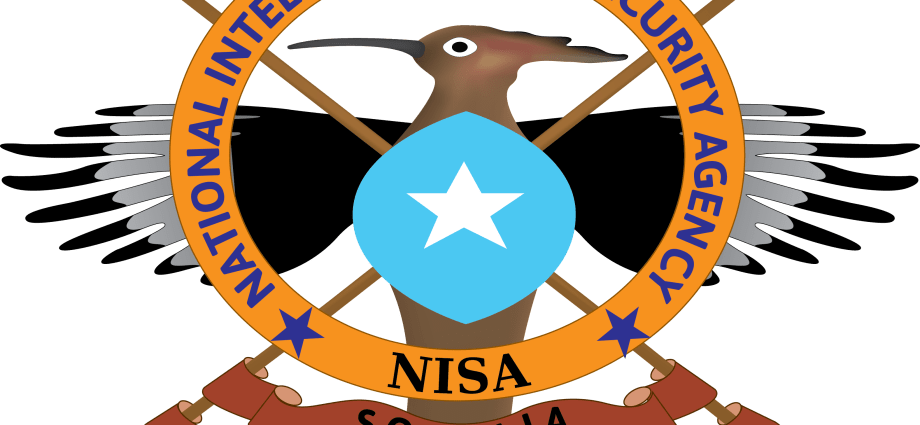 Somali Forces Eliminate Senior Al-Shabaab Commander in Targeted Operation, NISA Confirms Somali Forces Eliminate Senior Al-Shabaab Commander in Targeted Operation, NISA Confirms