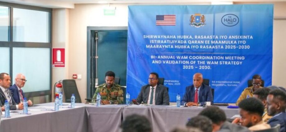 Somalia Greenlights Ambitious Five-Year Weapons Management Strategy to Curb Illicit Arms Somalia Greenlights Ambitious Five-Year Weapons Management Strategy to Curb Illicit Arms