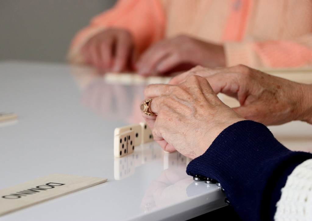 Dienos centro „Senjorija“ įkūrimas Dienos centro „Senjorija“ įkūrimas