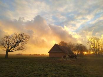 Sumanaus kaimo projektai – kelias į pokyčius Sumanaus kaimo projektai – kelias į pokyčius