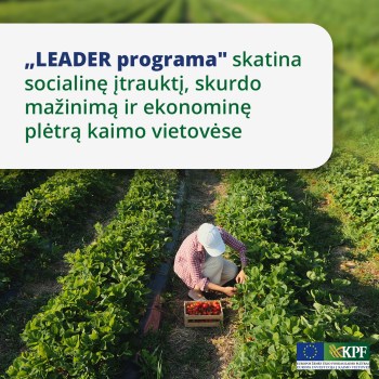 Kaimo bendruomenių potencialas – kaip jį sutelkti ir atskleisti Kaimo bendruomenių potencialas – kaip jį sutelkti ir atskleisti
