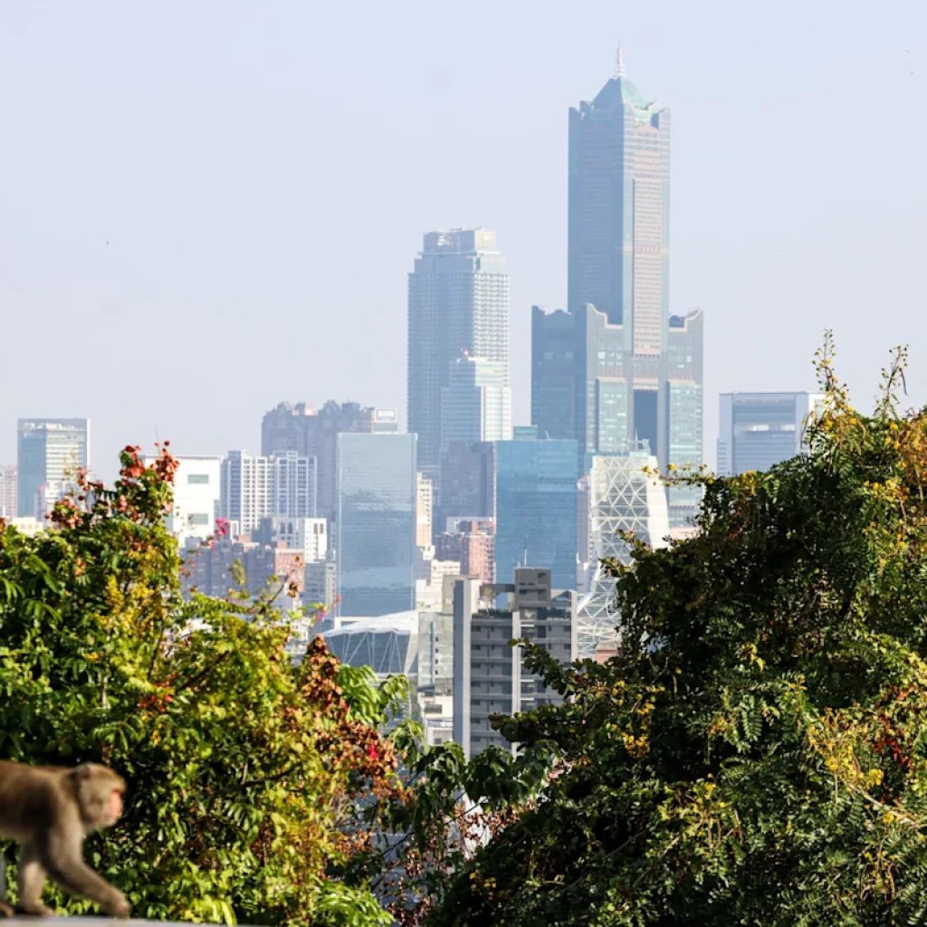 Taïwan touché par un séisme de magnitude 6,1 Taïwan touché par un séisme de magnitude 6,1