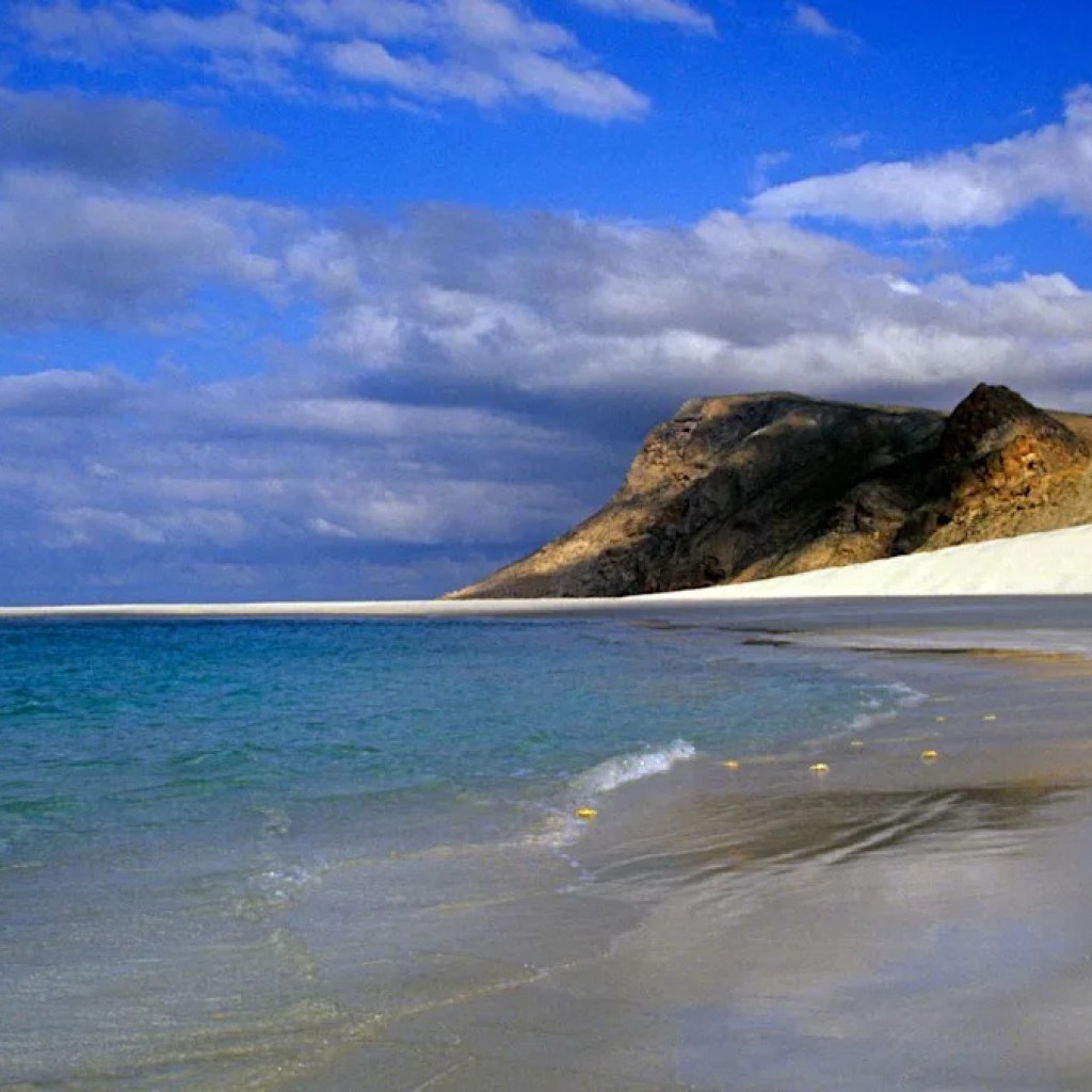 Plus de 400 touristes, dont des Français, bloqués depuis fin décembre sur une île du Yémen Plus de 400 touristes, dont des Français, bloqués depuis fin décembre sur une île du Yémen