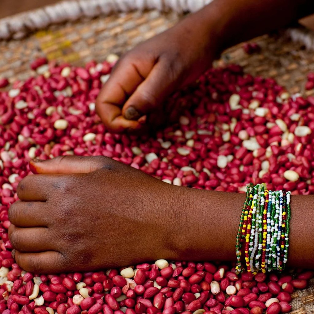 Les brochettes au koura-koura, la fierté de Kaya Les brochettes au koura-koura, la fierté de Kaya