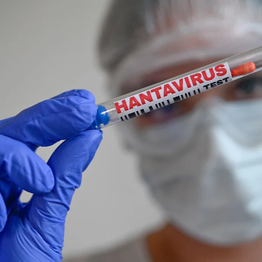 Hantavirus: huit cas confirmés au virus des Andes dans le monde Hantavirus: huit cas confirmés au virus des Andes dans le monde