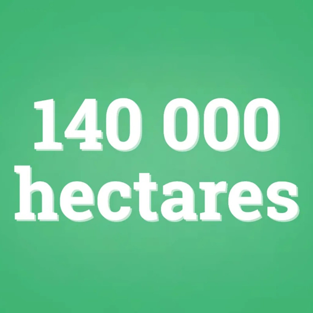 La fièvre de l’or accélère la déforestation dans l’Amazonie péruvienne La fièvre de l’or accélère la déforestation dans l’Amazonie péruvienne