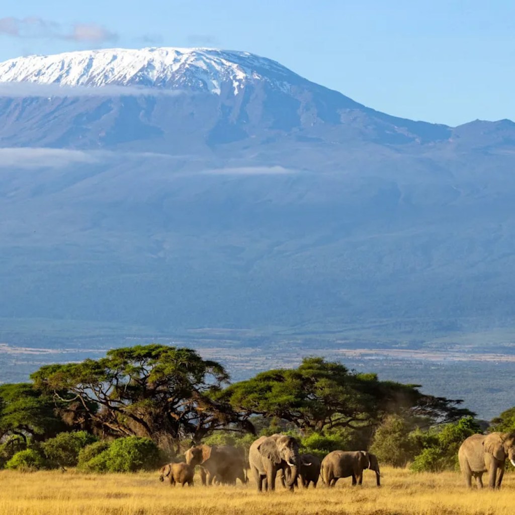 Cinq personnes mortes dans un crash d’hélicoptère sur le Kilimandjaro en Tanzanie Cinq personnes mortes dans un crash d’hélicoptère sur le Kilimandjaro en Tanzanie