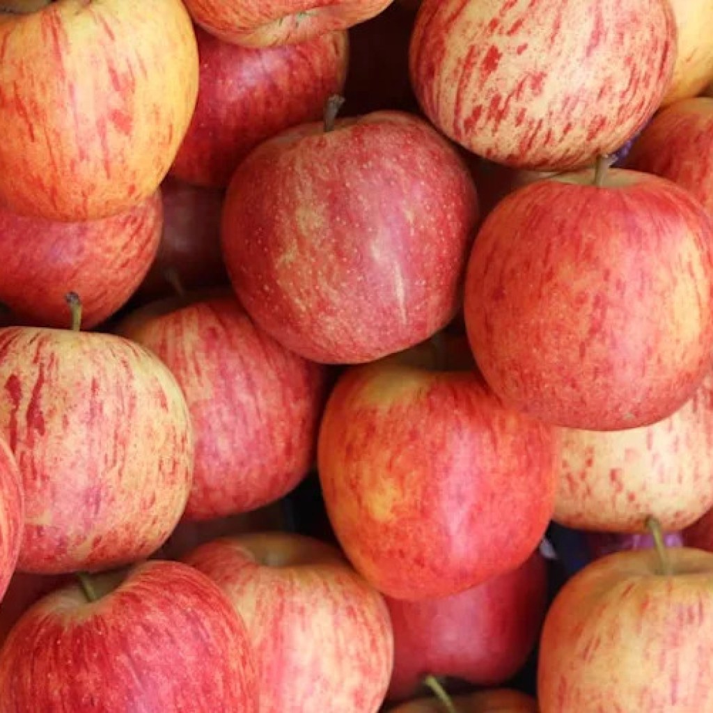 Pommes et pesticides : quelles variétés choisir pour limiter les toxines ? Pommes et pesticides : quelles variétés choisir pour limiter les toxines ?