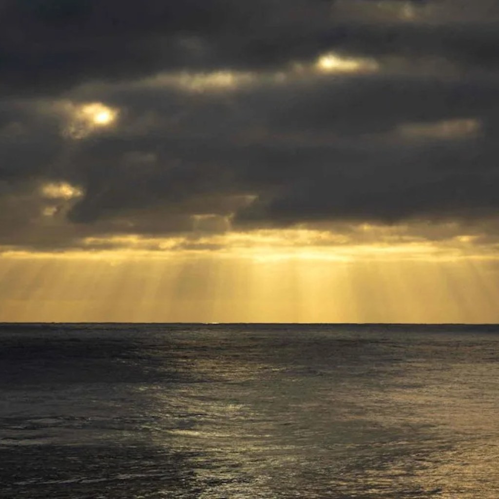 Le traité de protection de la haute mer va finalement entrer en vigueur Le traité de protection de la haute mer va finalement entrer en vigueur