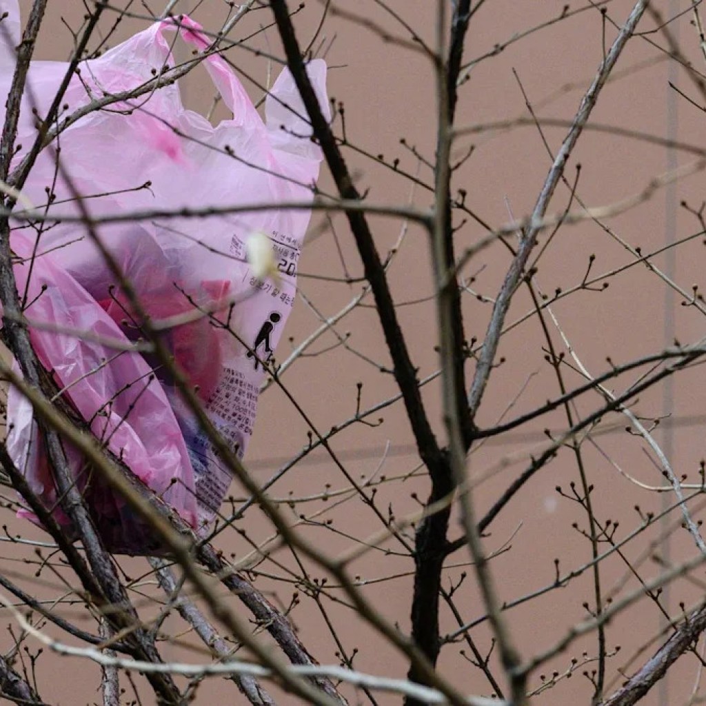 À Séoul, la peur de manquer à cause de la guerre au Moyen-Orient pousse à voler des sacs-poubelle À Séoul, la peur de manquer à cause de la guerre au Moyen-Orient pousse à voler des sacs-poubelle