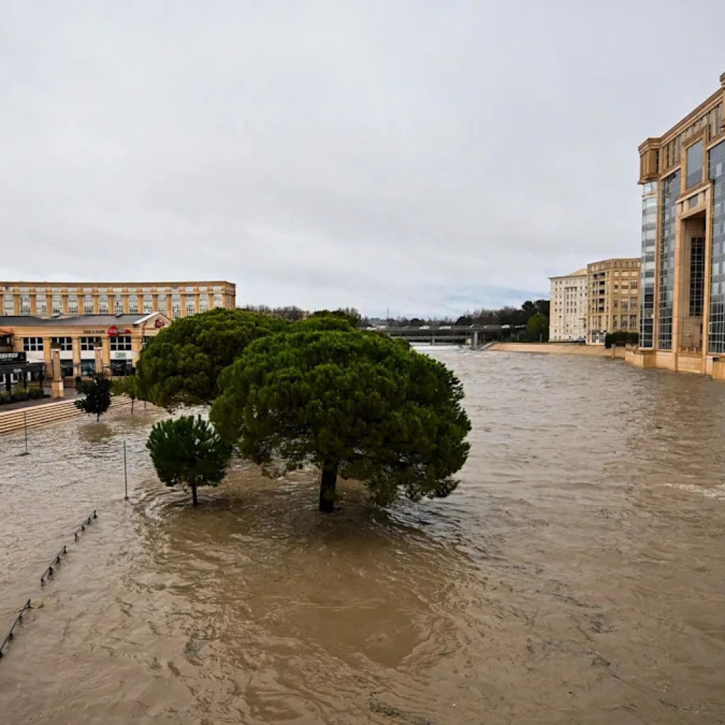 Agde menacée, rues inondées… Les images des crues exceptionnelles dans l’Hérault Agde menacée, rues inondées… Les images des crues exceptionnelles dans l’Hérault