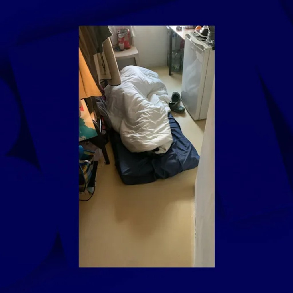 INFO BFM LYON. Après un premier débrayage des surveillants ce mardi à Lyon-Corbas, les syndicats alertent sur la situation de la prison INFO BFM LYON. Après un premier débrayage des surveillants ce mardi à Lyon-Corbas, les syndicats alertent sur la situation de la prison