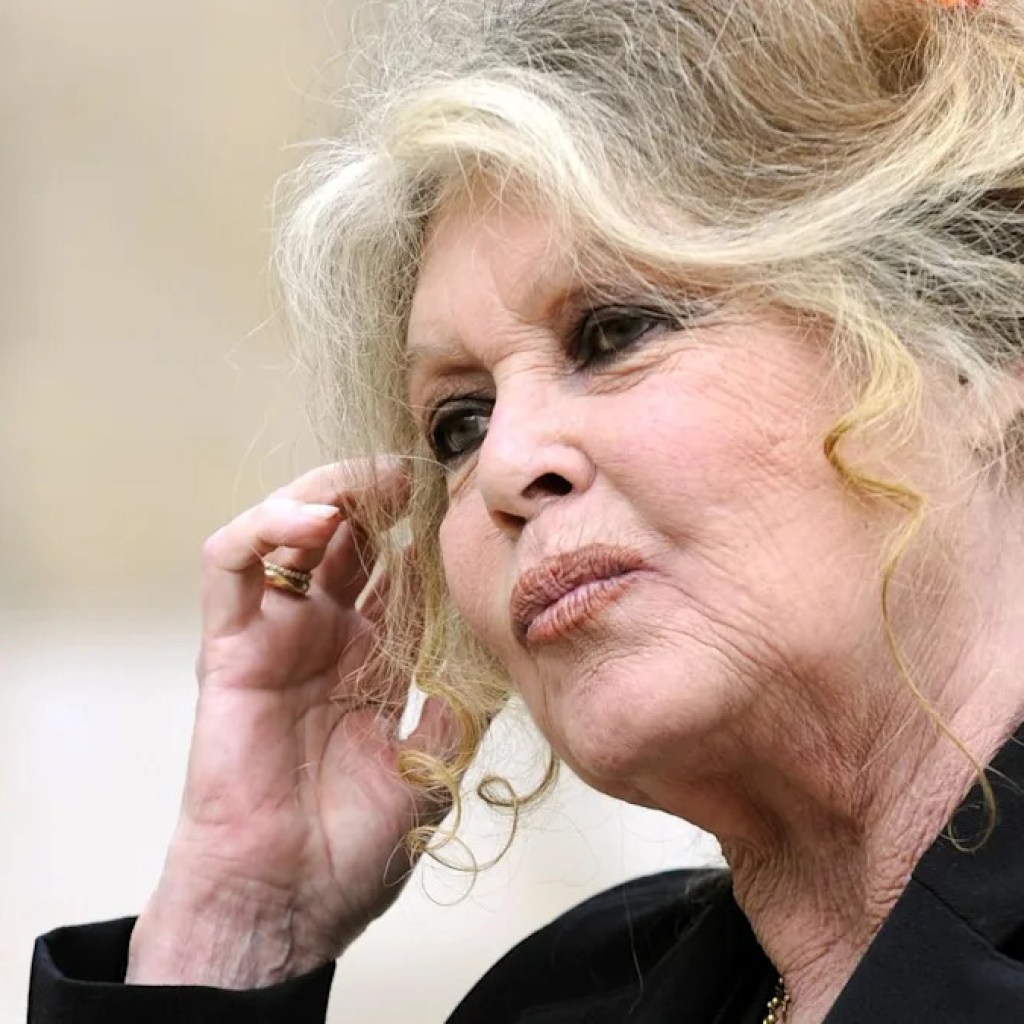 Obsèques de Brigitte Bardot sans Macron, mais avec le Pen : voici à quoi elles vont ressembler Obsèques de Brigitte Bardot sans Macron, mais avec le Pen : voici à quoi elles vont ressembler
